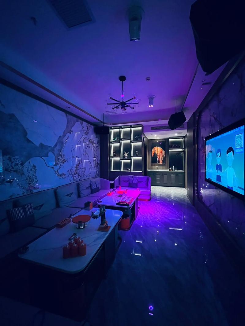 吉安商务ktv专业商务ktv订房推荐-井冈山市ktv预定